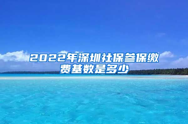 2022年深圳社保参保缴费基数是多少