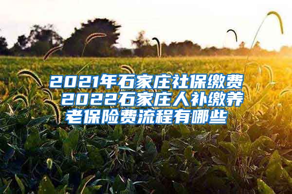 2021年石家庄社保缴费 2022石家庄人补缴养老保险费流程有哪些