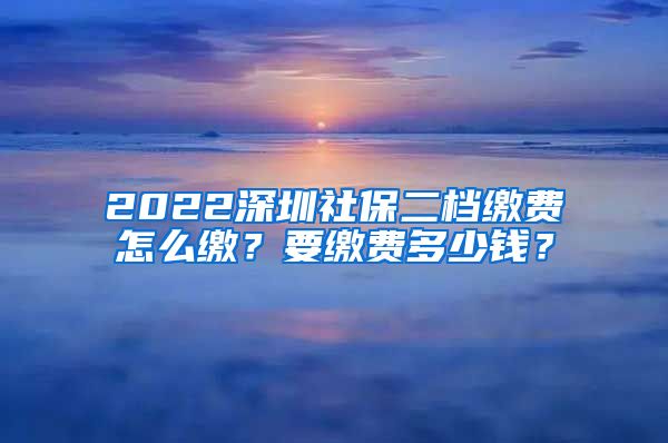 2022深圳社保二档缴费怎么缴？要缴费多少钱？