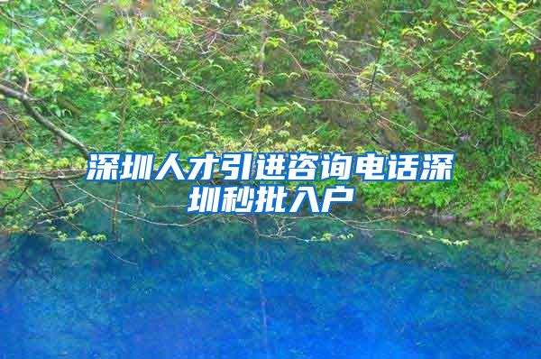 深圳人才引进咨询电话深圳秒批入户