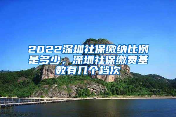 2022深圳社保缴纳比例是多少，深圳社保缴费基数有几个档次