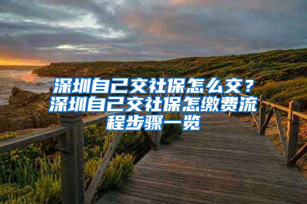 深圳自己交社保怎么交？深圳自己交社保怎缴费流程步骤一览