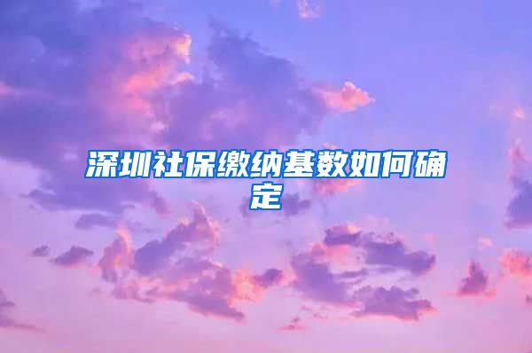 深圳社保缴纳基数如何确定