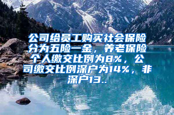 公司给员工购买社会保险分为五险一金，养老保险个人缴交比例为8%，公司缴交比例深户为14%，非深户13..