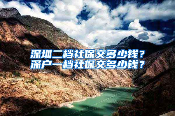 深圳二档社保交多少钱？深户一档社保交多少钱？