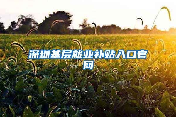 深圳基层就业补贴入口官网