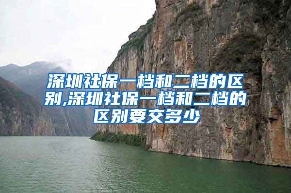 深圳社保一档和二档的区别,深圳社保一档和二档的区别要交多少