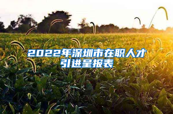 2022年深圳市在职人才引进呈报表