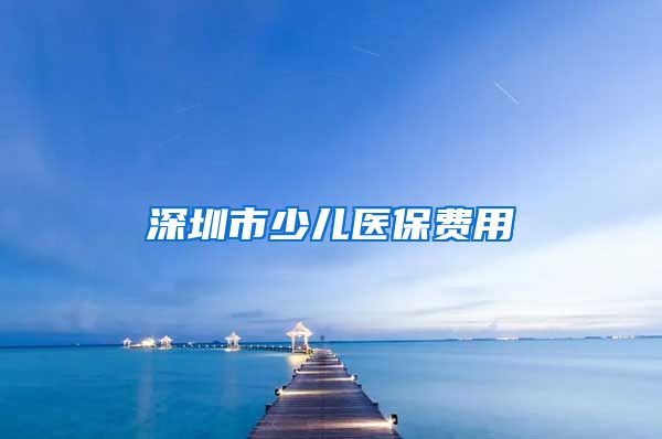 深圳市少儿医保费用