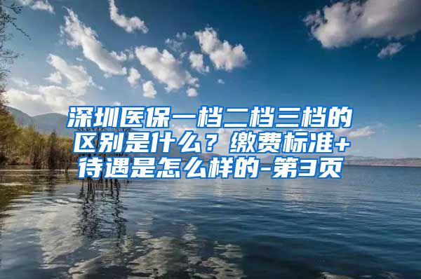 深圳医保一档二档三档的区别是什么？缴费标准+待遇是怎么样的-第3页