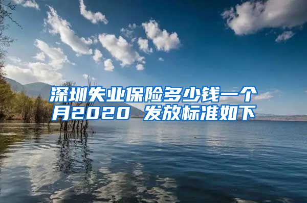 深圳失业保险多少钱一个月2020 发放标准如下