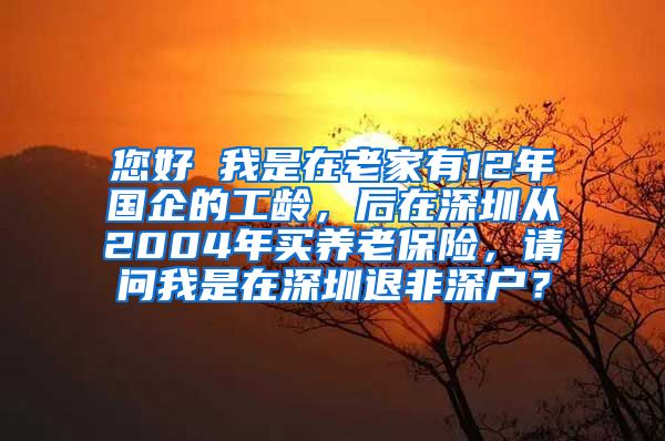 您好 我是在老家有12年国企的工龄，后在深圳从2004年买养老保险，请问我是在深圳退非深户？