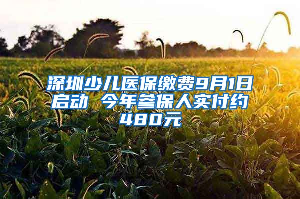 深圳少儿医保缴费9月1日启动 今年参保人实付约480元