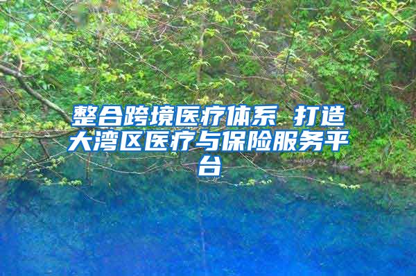 整合跨境医疗体系 打造大湾区医疗与保险服务平台