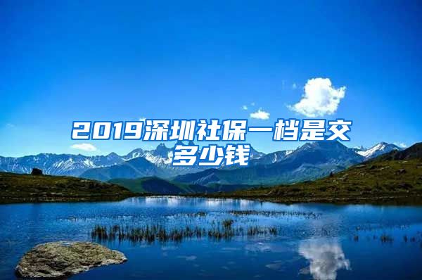 2019深圳社保一档是交多少钱