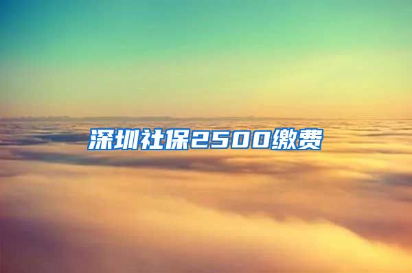 深圳社保2500缴费