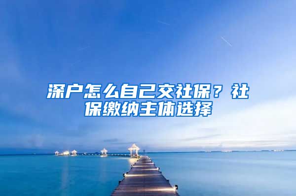 深户怎么自己交社保？社保缴纳主体选择