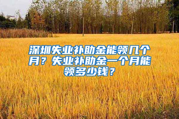 深圳失业补助金能领几个月？失业补助金一个月能领多少钱？