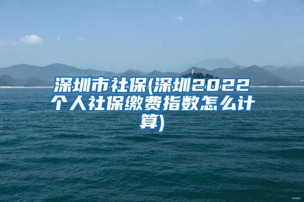 深圳市社保(深圳2022个人社保缴费指数怎么计算)