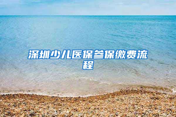 深圳少儿医保参保缴费流程