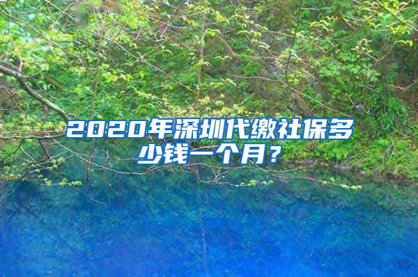 2020年深圳代缴社保多少钱一个月？