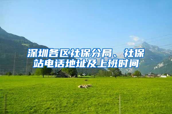 深圳各区社保分局、社保站电话地址及上班时间