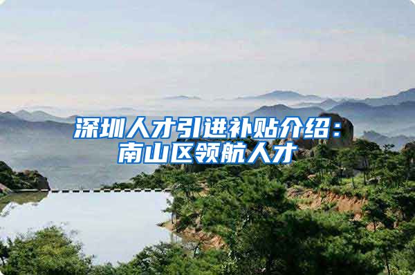 深圳人才引进补贴介绍：南山区领航人才