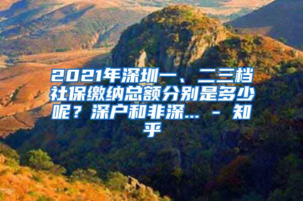 2021年深圳一、二三档社保缴纳总额分别是多少呢？深户和非深... - 知乎