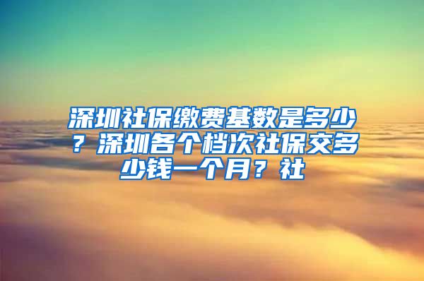 深圳社保缴费基数是多少？深圳各个档次社保交多少钱一个月？社