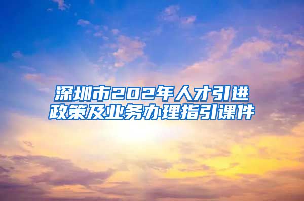 深圳市202年人才引进政策及业务办理指引课件