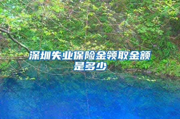 深圳失业保险金领取金额是多少