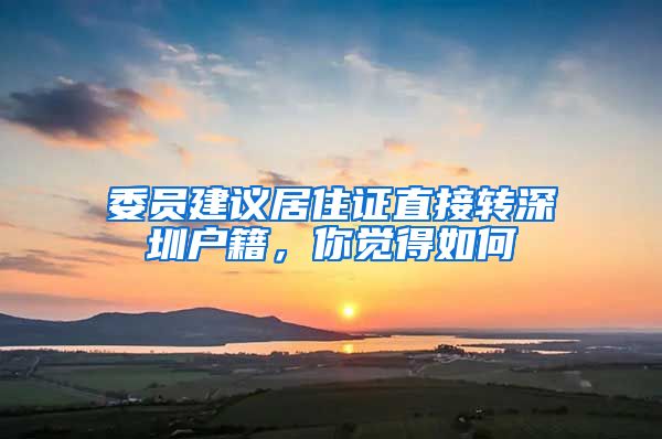 委员建议居住证直接转深圳户籍，你觉得如何