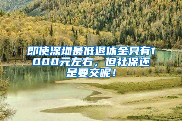 即使深圳最低退休金只有1000元左右，但社保还是要交呢！