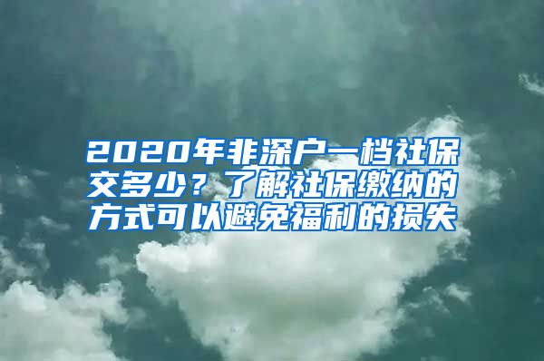 2020年非深户一档社保交多少？了解社保缴纳的方式可以避免福利的损失