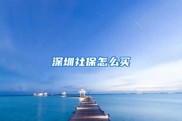 深圳社保怎么买