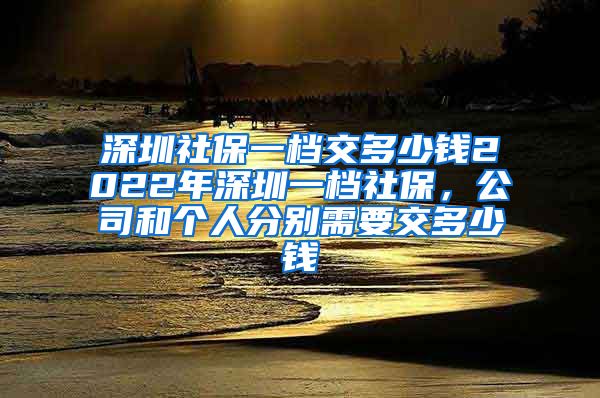 深圳社保一档交多少钱2022年深圳一档社保，公司和个人分别需要交多少钱