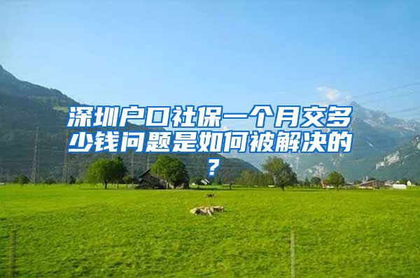 深圳户口社保一个月交多少钱问题是如何被解决的？