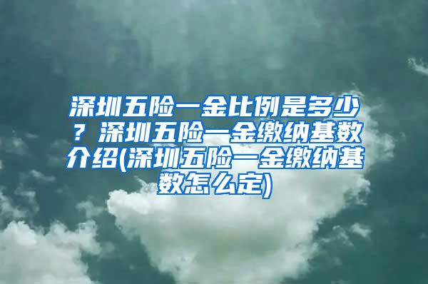 深圳五险一金比例是多少？深圳五险一金缴纳基数介绍(深圳五险一金缴纳基数怎么定)