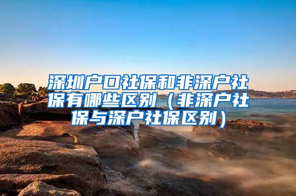 深圳户口社保和非深户社保有哪些区别（非深户社保与深户社保区别）