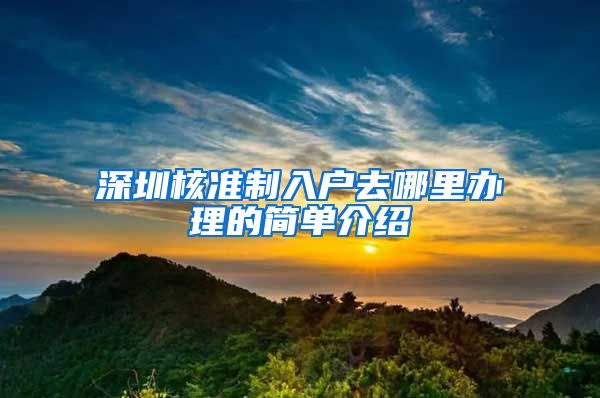 深圳核准制入户去哪里办理的简单介绍