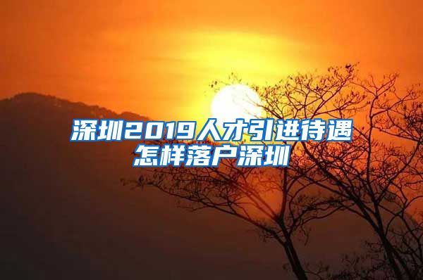 深圳2019人才引进待遇怎样落户深圳