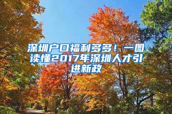 深圳户口福利多多！一图读懂2017年深圳人才引进新政