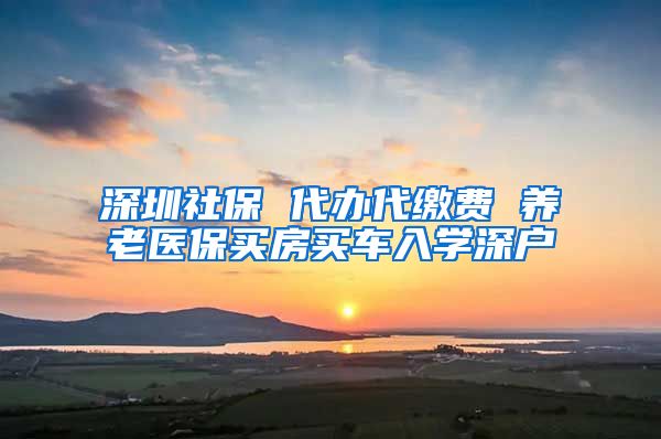 深圳社保 代办代缴费 养老医保买房买车入学深户