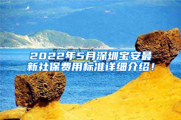 2022年5月深圳宝安最新社保费用标准详细介绍！