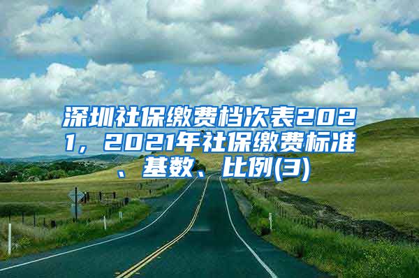 深圳社保缴费档次表2021，2021年社保缴费标准、基数、比例(3)