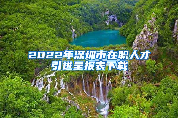 2022年深圳市在职人才引进呈报表下载