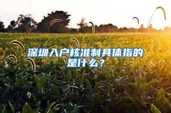 深圳入户核准制具体指的是什么？