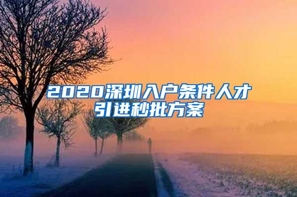 2020深圳入户条件人才引进秒批方案