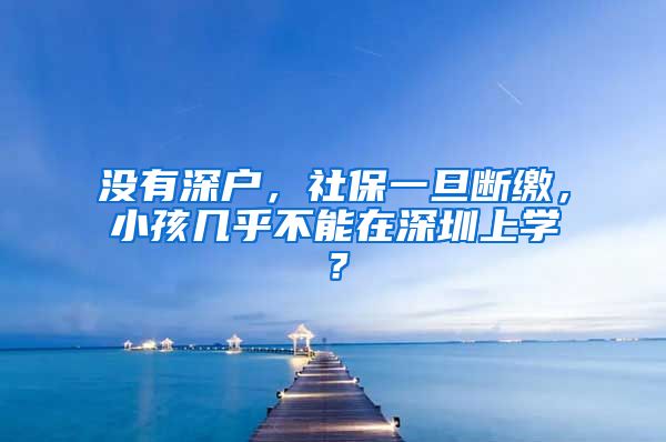 没有深户，社保一旦断缴，小孩几乎不能在深圳上学？