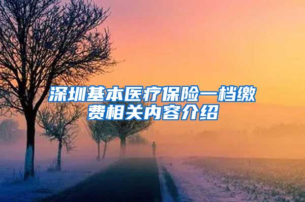 深圳基本医疗保险一档缴费相关内容介绍